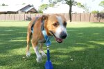 Kleiner Held Tony. Quelle: Youtube Screenshot