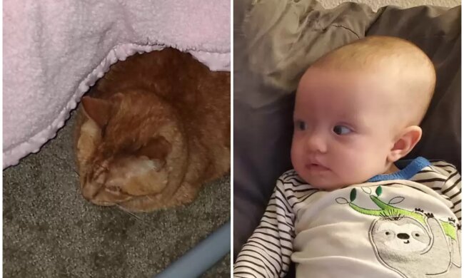 Baby Hazel und Kater Sunny. Quelle: Screenshot Youtube