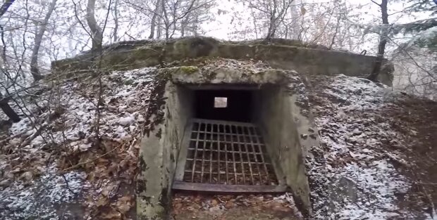 Tür im Wald. Quelle: Youtube Screenshot