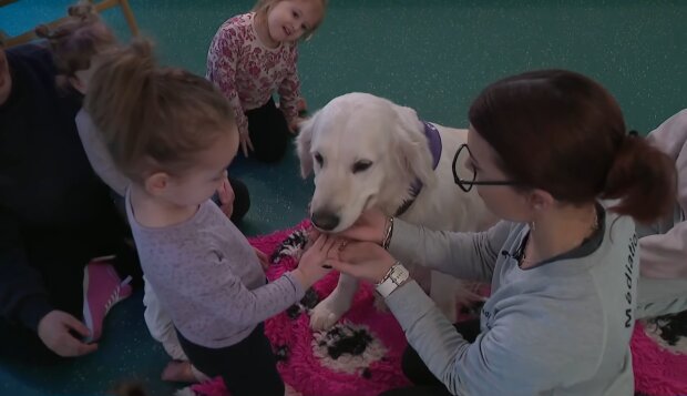 Familienliebling mit Fell. Quelle: Youtube Screenshot