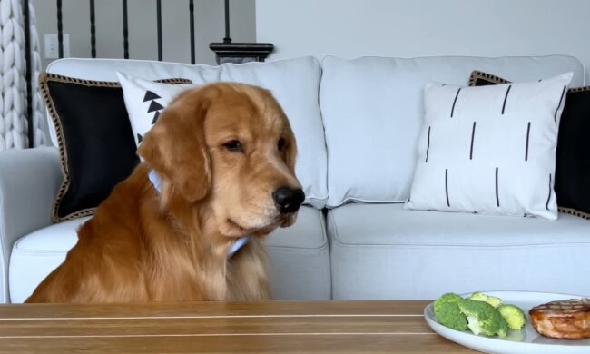 Eine Liebe, die über den Tisch hinausgeht. Quelle: Youtube Screenshot