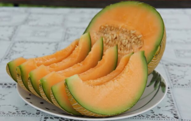 Melone. Quelle: Screenshot Youtube