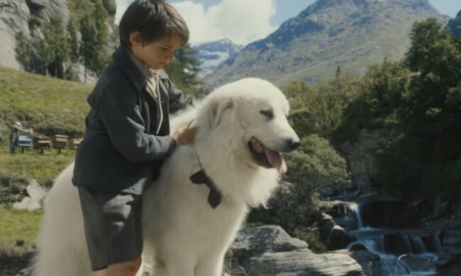 Hund und Junge, Quelle: Screenshot YouTube