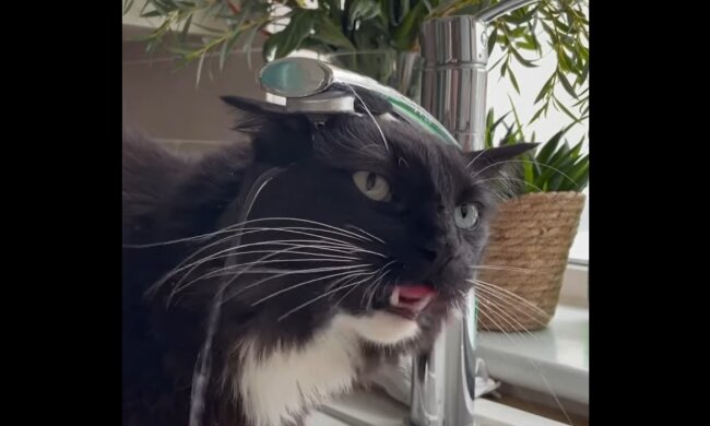 Illustratives Bild. Quelle: Youtube Screenshot