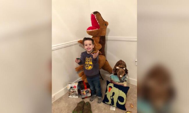 Der Junge verlor seine Dinosauriersammlung bei einem Brand, und gute Leute aus dem sozialen Netzwerk beschlossen, ihm zu helfen