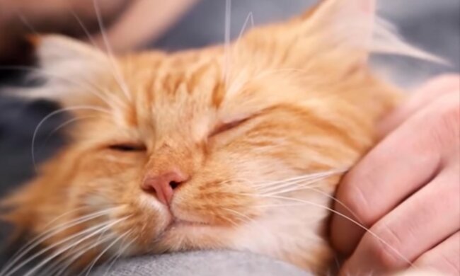 Langer Weg nach Hause