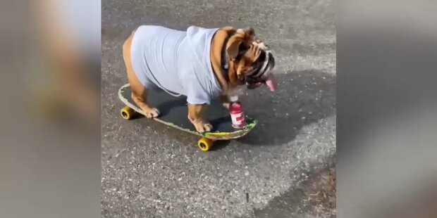 Skateboardfahren. Quelle: Youtube Screenshot
