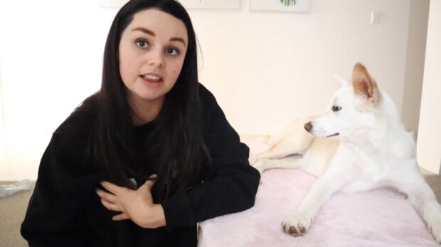 Border Collie rettet seiner Besitzerin das Leben. Quelle: Youtube Screenshot