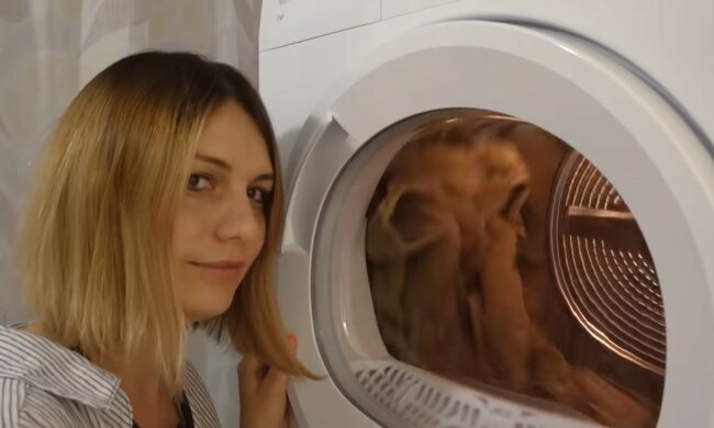 Nützliche Entdeckung für jede Hausfrau. Quelle: Screenshot YouTube