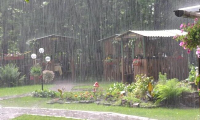 Tiere sind bei schlechtem Wetter schutzlos. Quelle: Screenshot YouTube