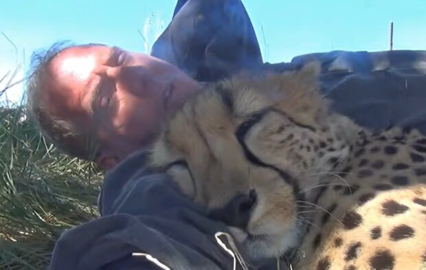 Dolph und Gepard. Quelle: YouTube Screenshot