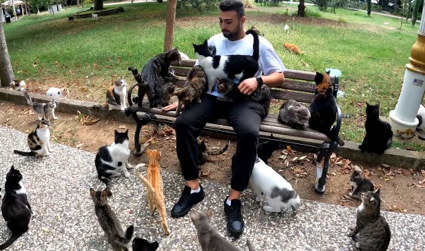 „Straßenkatzen statt Freunde“: Warum ein Rumäne Tiere den Menschen vorzieht