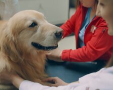 Ein Mann bedankte sich bei den Ärzten, die seinen Hund gerettet haben, indem er eine große Summe Geld ausgab