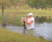 Wie Richard Wilbanks seinen Welpen aus dem Mund eines Alligators rettete