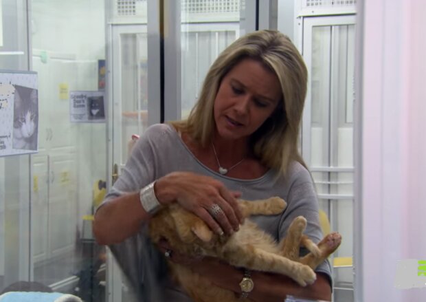 Fürsorgliche Tierschützerin. Quelle: Screenshot YouTube