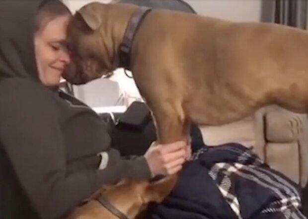 Frau und Hund. Quelle: Screenshot Youtube