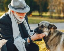 Der Hund konnte das Leben eines alten Mannes verändern, der keine Hoffnung hatte