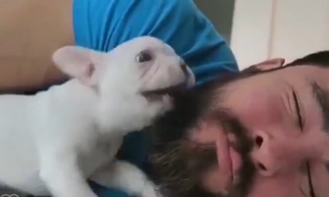 Zeit zum Aufwachen. Quelle: Youtube Screenshot