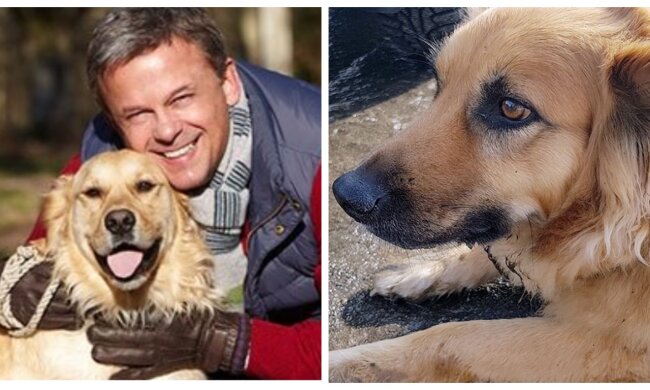 Hund und Besitzer. Quelle: Screenshot