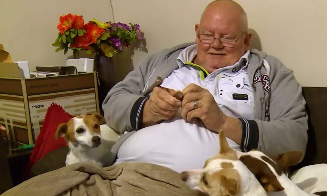Jack Russell Trio im Viertel bekannt. Quelle: Youtube Screenshot