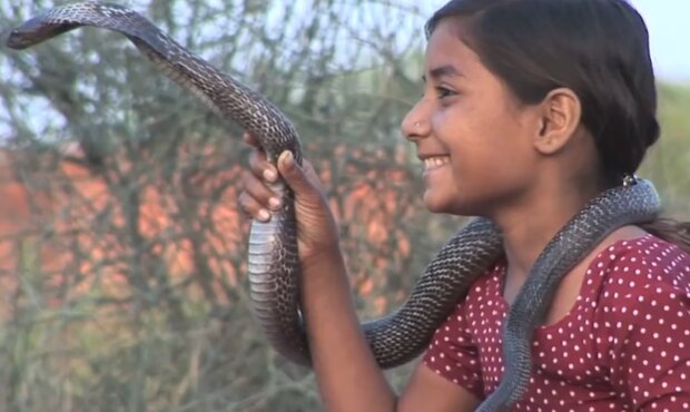 Kind mit Kobra. Quelle: YouTube Screenshot