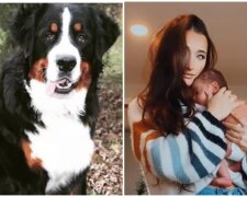 Hund Berkley, Christine und ihr Baby. Quelle: Screenshot Youtube