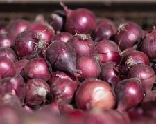 Eine verlassene junge Frau rächte sich an ihrem Ex, indem sie eine Tonne Zwiebel zu seiner Tür schickte