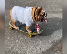 Skateboardfahren. Quelle: Youtube Screenshot