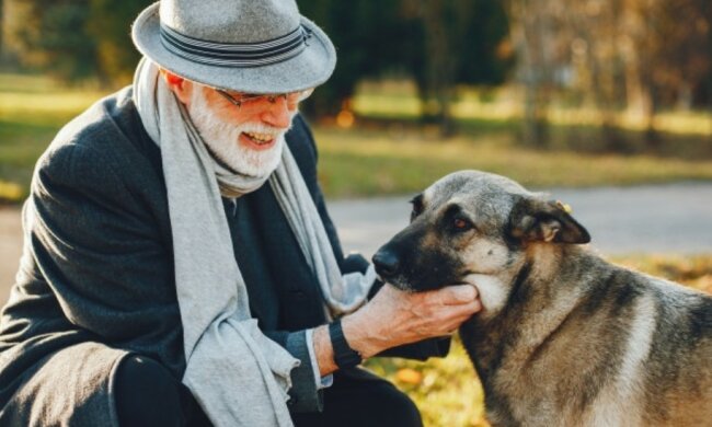 Der Hund konnte das Leben eines alten Mannes verändern, der keine Hoffnung hatte