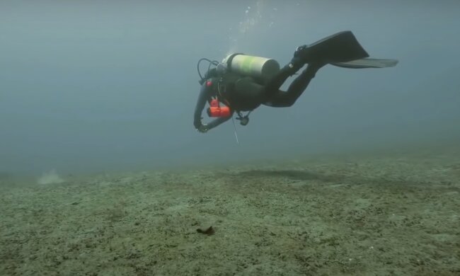 Taucher. Quelle: Screenshot YouTube