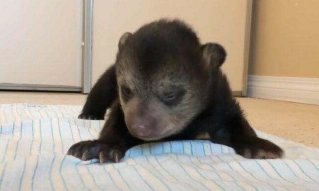 Hilfloses Baby verdient es, glücklich zu sein. Quelle: Screenshot YouTube