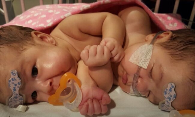 Nette Scarlett und Savanne