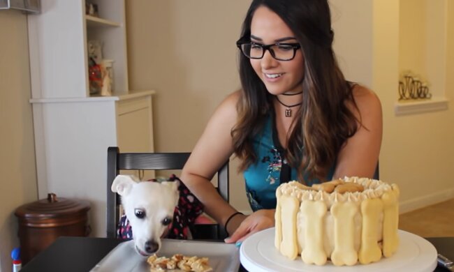 Ein besonderes Leckerchen für den Hund. Quelle: Screenshot YouTube