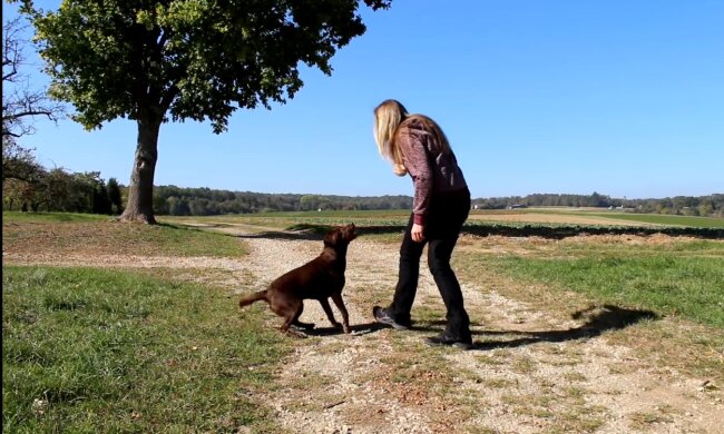 Illustratives Bild. Quelle: Youtube Screenshot