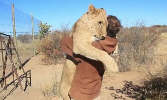 David und Simba. Quelle: Youtube Screenshot