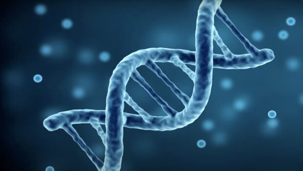 DNA-Test. Quelle: Screenshot YouTube