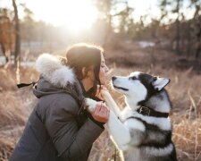 Bauchgefühl: Wie Hunde "schlechte" Menschen erkennen