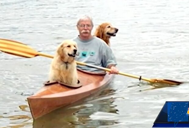 "Ich werde ihr Leben fröhlicher und heller machen": Mann baut Kajak für seine Hunde, damit er sie auf Abenteuer mitnehmen kann
