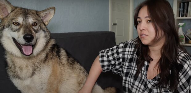 Die Wölfin und die Frau. Quelle: Screenshot YouTube