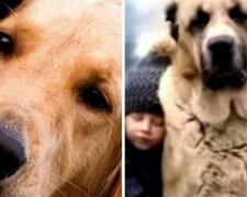 Die Familie eröffnete den Wildpark vor 25 Jahren, und jetzt helfen die Tiere ihrem Enkel mit besonderen Bedürfnissen