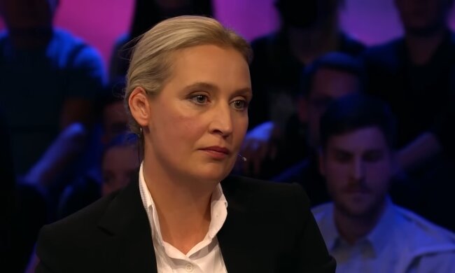Weidel will Sozialleistungen an Beitragszahlungen knüpfen. Quelle: Youtube Screenshot
