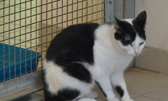 Liebe bleibt aus.. Quelle: Youtube Screenshot