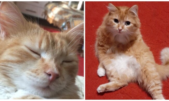 Neuer Freund. Quelle: Screenshot