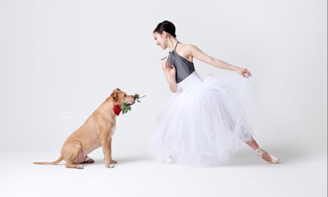 "Sie brauchen einen Besitzer": Ballerinas tanzen mit Tierheimtieren, um ein Zuhause für sie zu finden