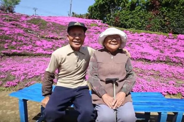 Ein liebender Ehemann verwandelte 2 Jahre lang das Feld in ein Blumenbeet, um seine Frau mit ihr Lächeln wieder sehen zu können