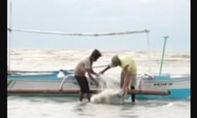 Fischer. Quelle: Youtube Screenshot