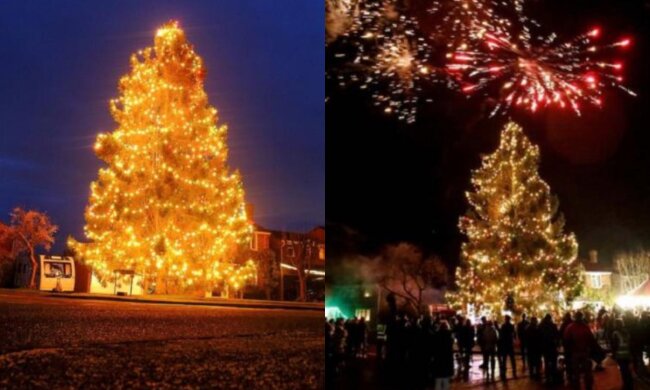 Riesiger Weihnachtsbaum. Quelle: Screenshot