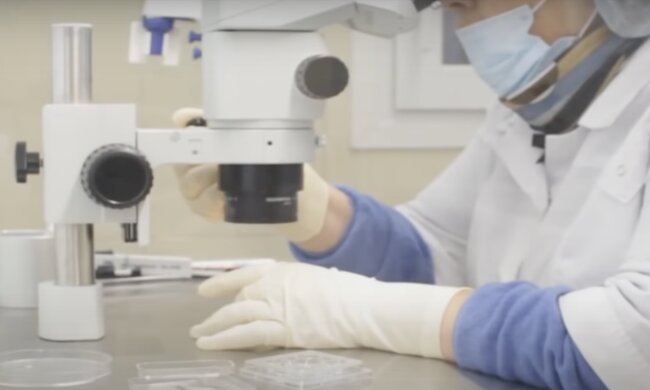 DNA-Test. Quelle: Screenshot YouTube