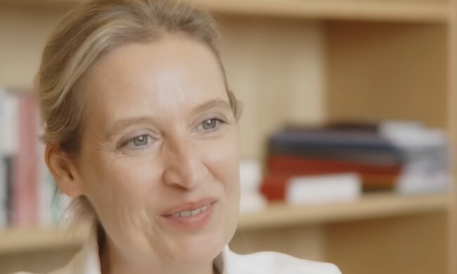 Warum die AfD nicht aus der Debatte verschwindet. Quelle: Youtube Screenshot