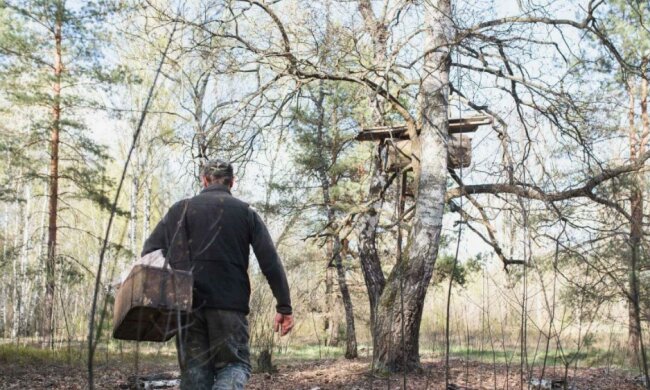 Der Stolz hielt den Mann davon ab, Hilfe zu suchen: Er lebte 11 Jahre lang in dem kalten, feuchten Wald